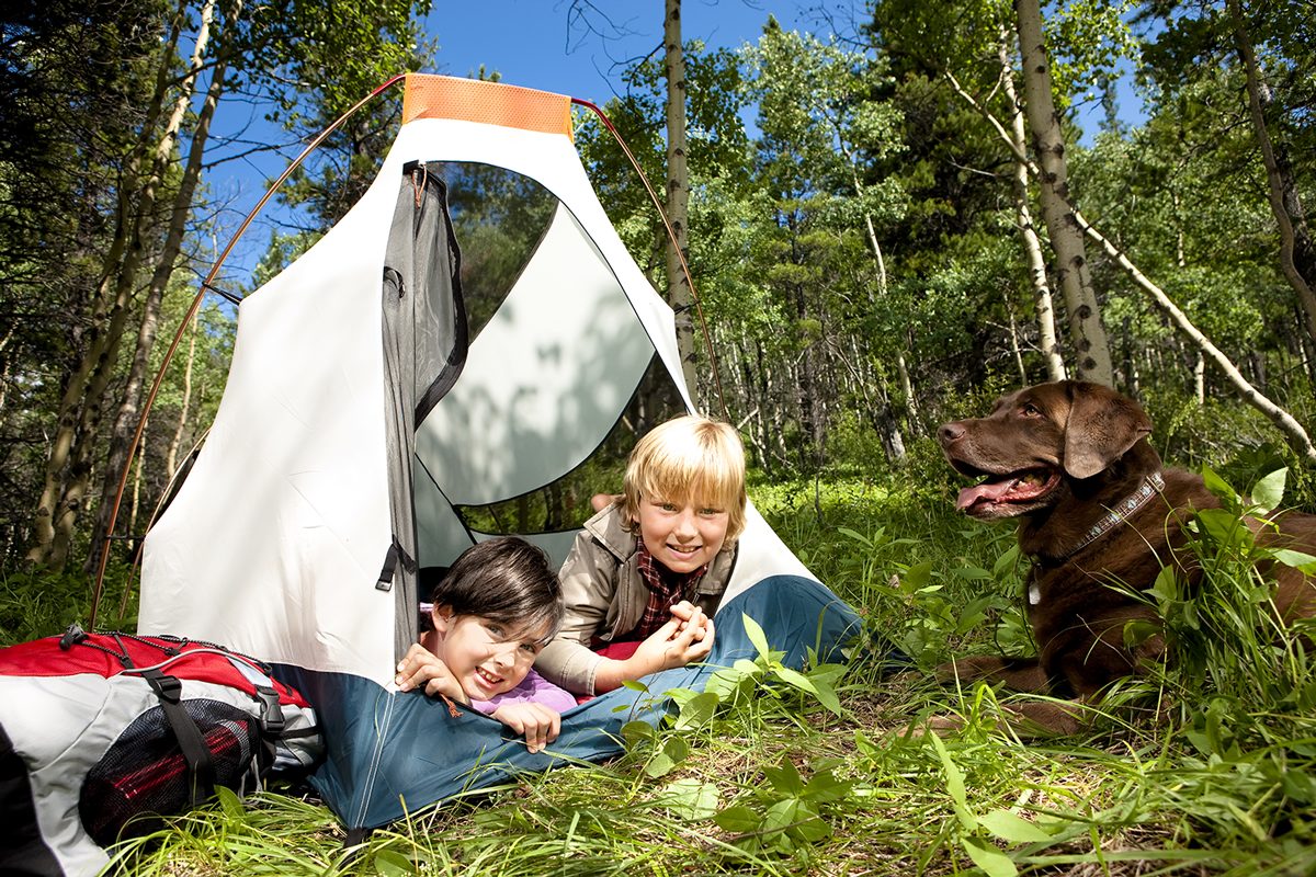 Children in a tent with the family dog beside the woods at Custer Crossing Family Campground